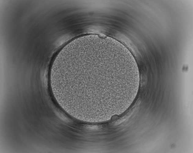 X0000101990349200808151429