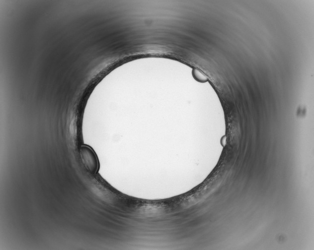 X0000101990350200808151429
