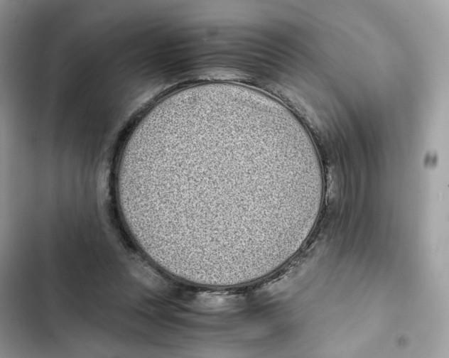 X0000101990351200808151429