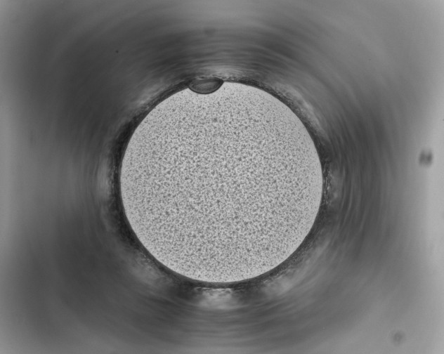 X0000101990355200808151429