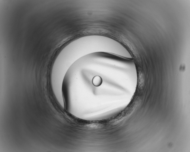 X0000101990356200808151429