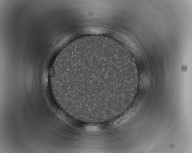 X0000101990358200808151429