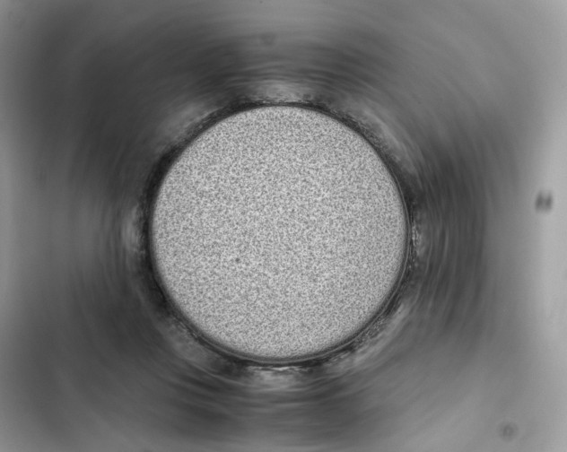 X0000101990359200808151429