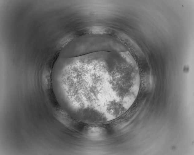 X0000101990360200808151429