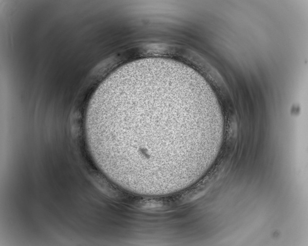 X0000101990361200808151429