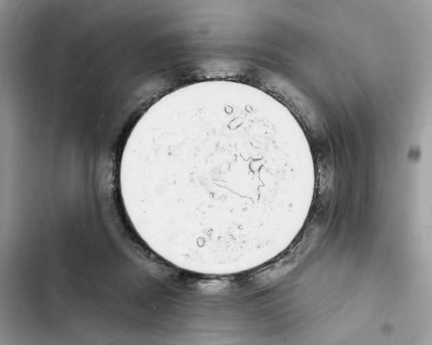 X0000101990362200808151429