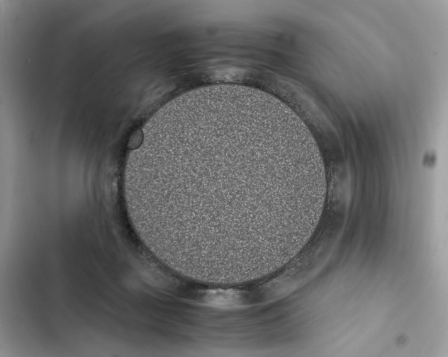 X0000101990363200808151429