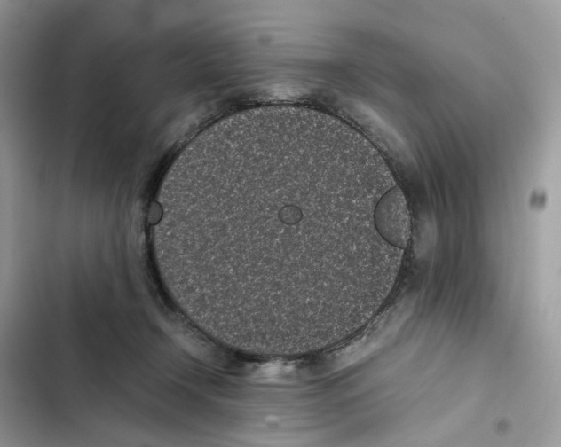 X0000101990366200808151429