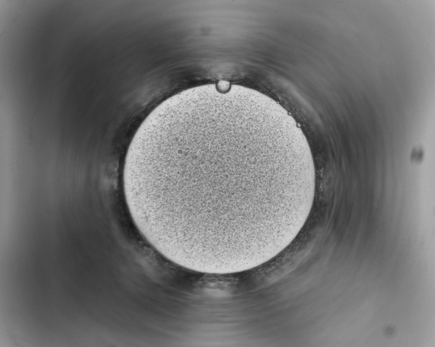 X0000101990368200808151429