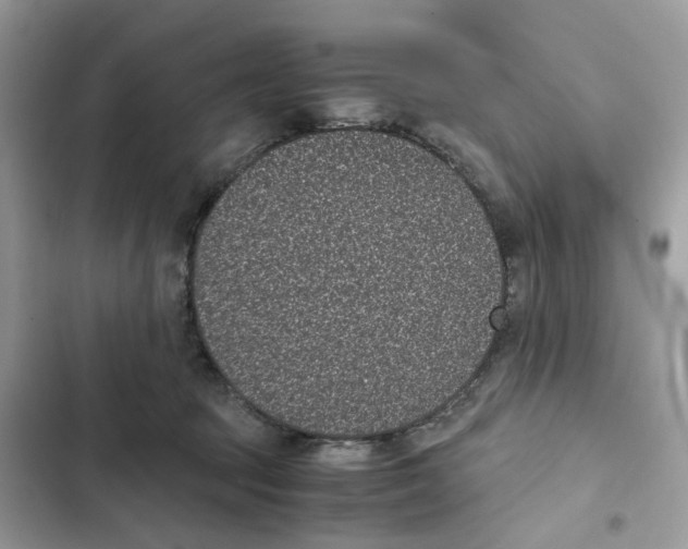 X0000101990369200808151429