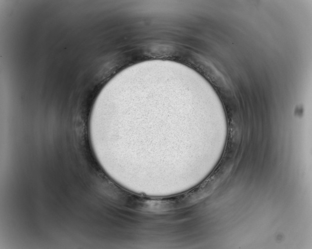 X0000101990371200808151429