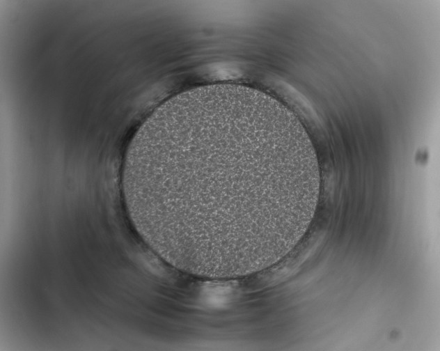 X0000101990373200808151429