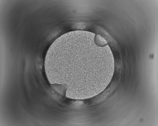 X0000101990374200808151429