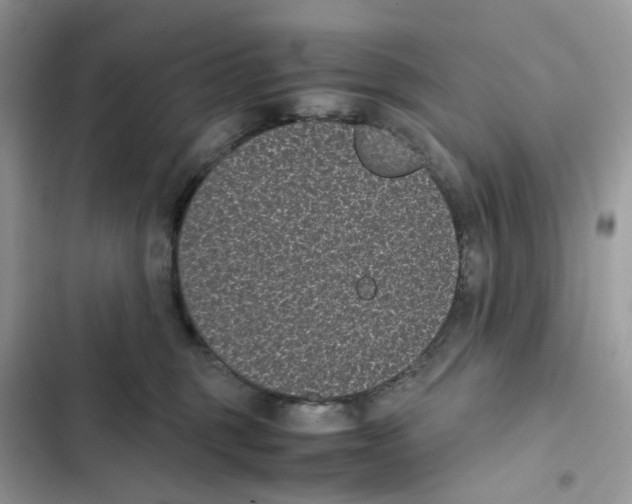 X0000101990375200808151429