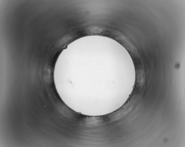 X0000101990378200808151429