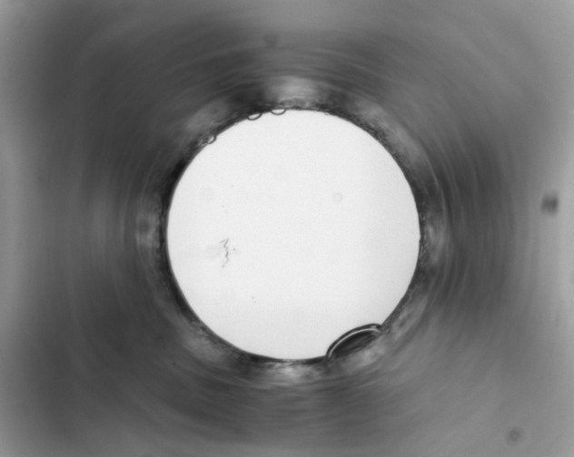 X0000101990379200808151429