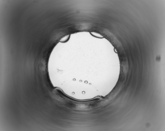 X0000101990380200808151429