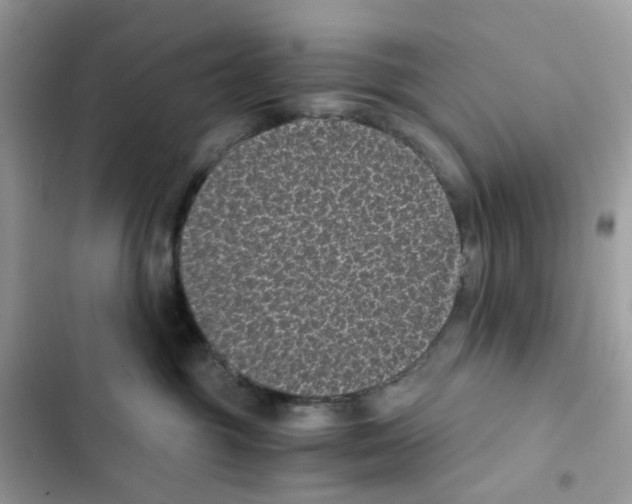 X0000101990381200808151429