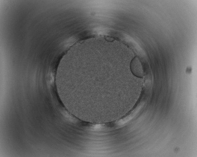 X0000101990382200808151429