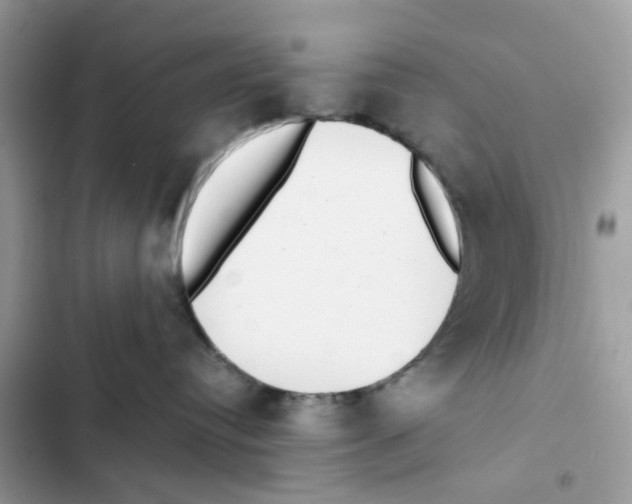 X0000101990384200808151429