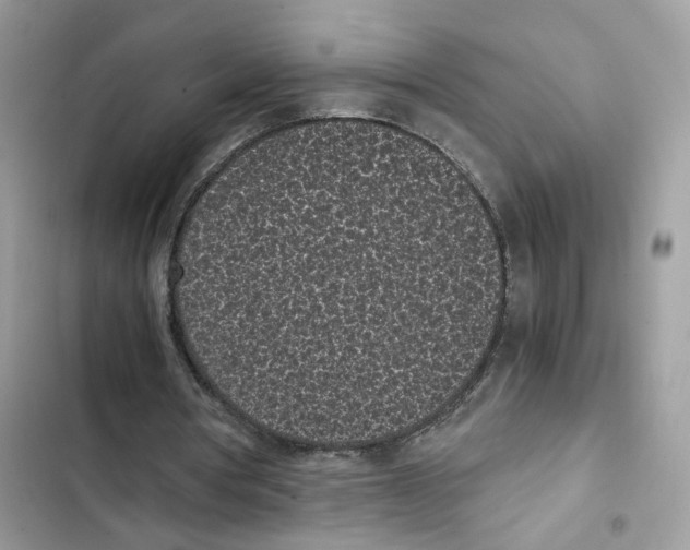X0000101990386200808151429