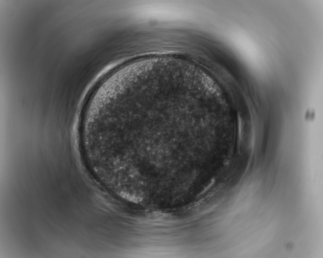X0000101990387200808151429