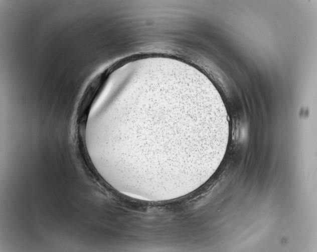 X0000101990388200808151429