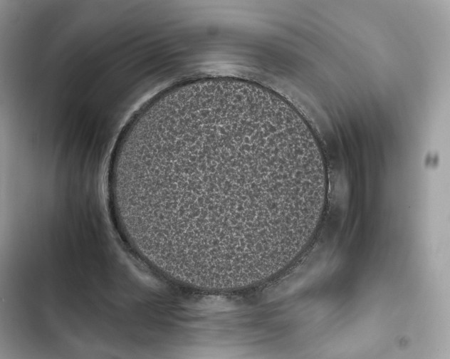X0000101990390200808151429