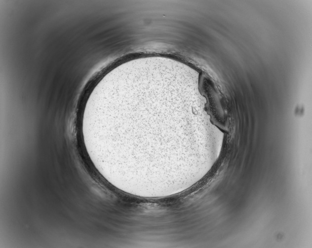 X0000101990392200808151429