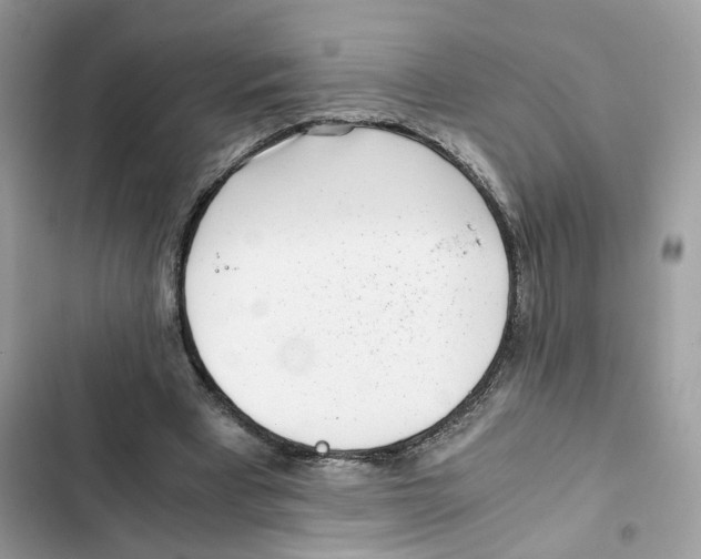 X0000101990393200808151429