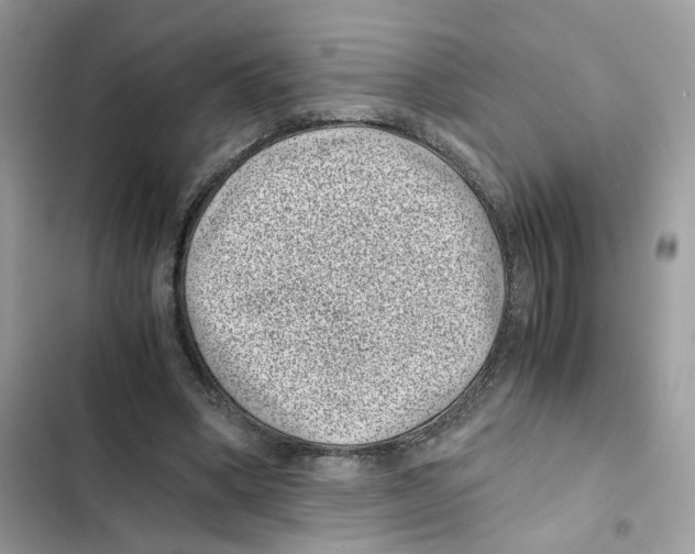 X0000101990394200808151429