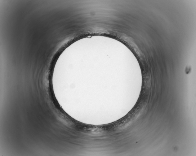 X0000101990395200808151429