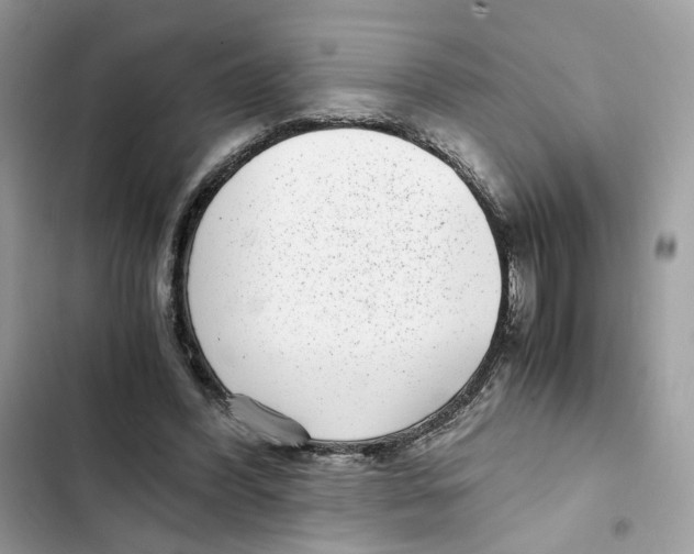 X0000101990396200808151429