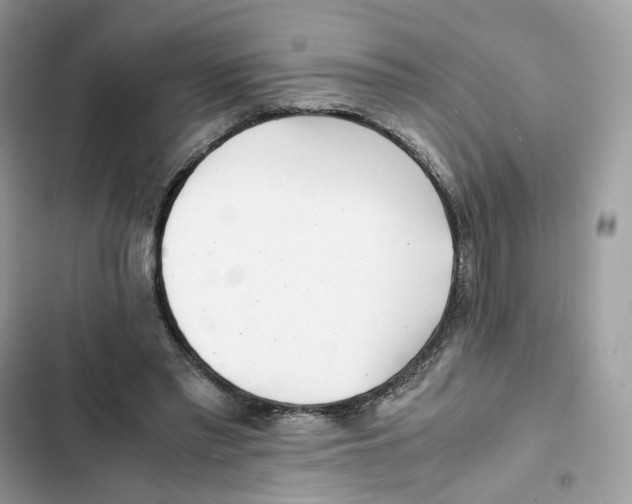 X0000101990397200808151429
