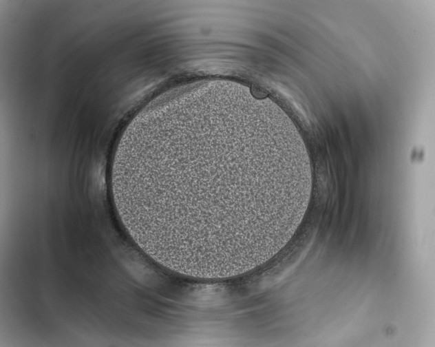 X0000101990398200808151429