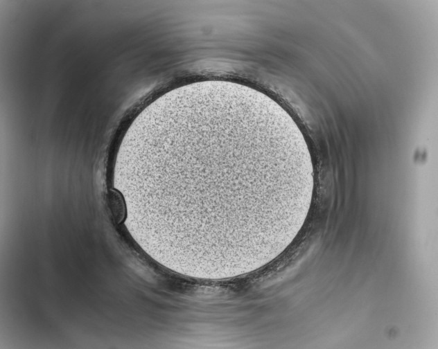 X0000101990399200808151428