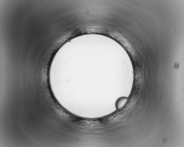 X0000101990401200808151428