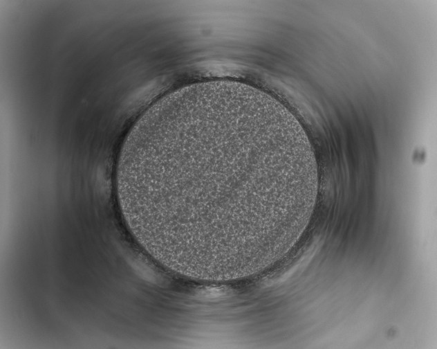 X0000101990402200808151428