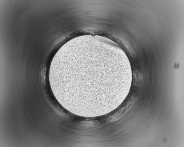 X0000101990404200808151428