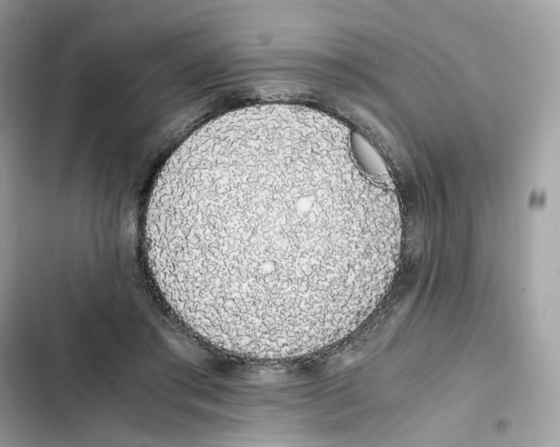 X0000101990405200808151428