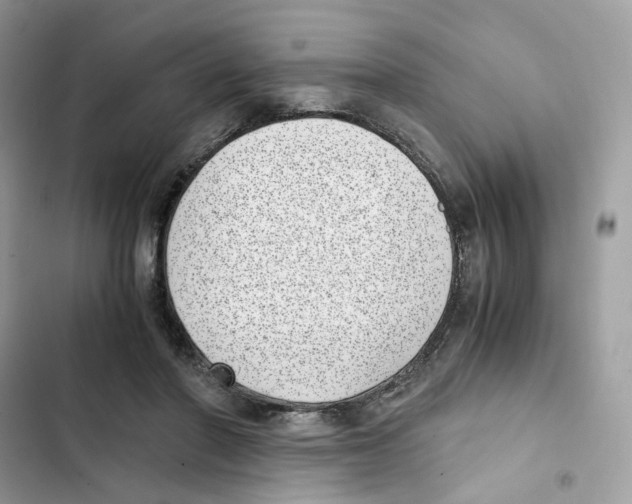 X0000101990406200808151428