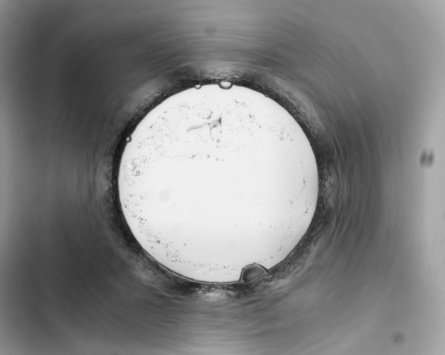 X0000101990407200808151428