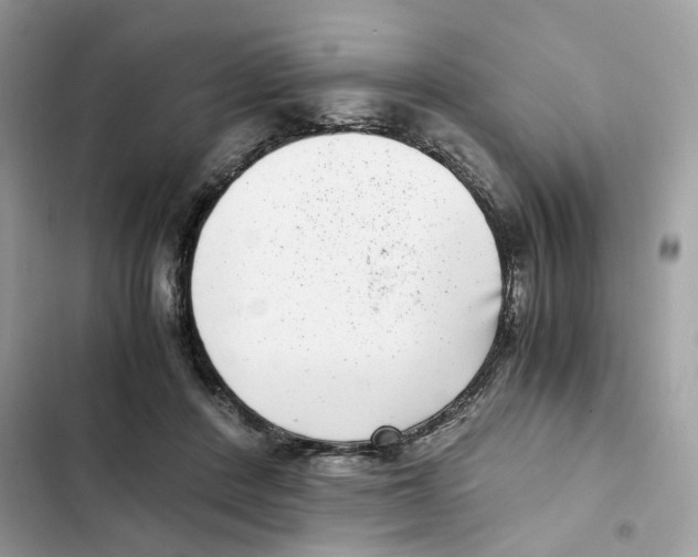 X0000101990408200808151428