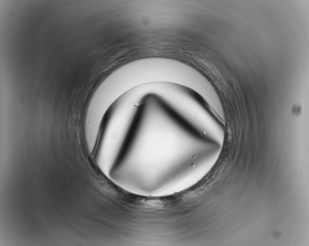 X0000101990409200808151428