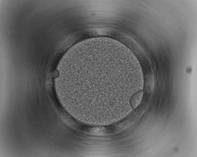 X0000101990410200808151428