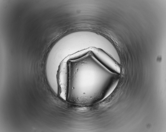 X0000101990411200808151428