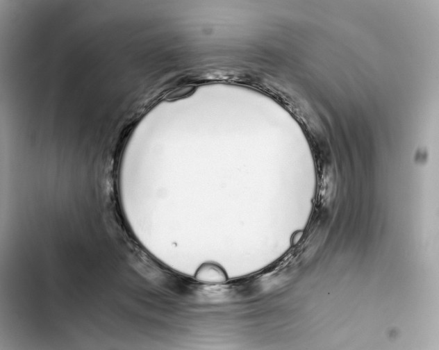 X0000101990413200808151428