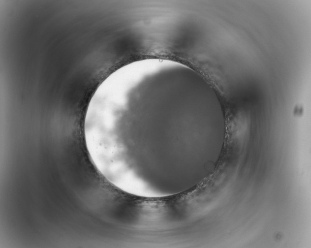 X0000101990415200808151428