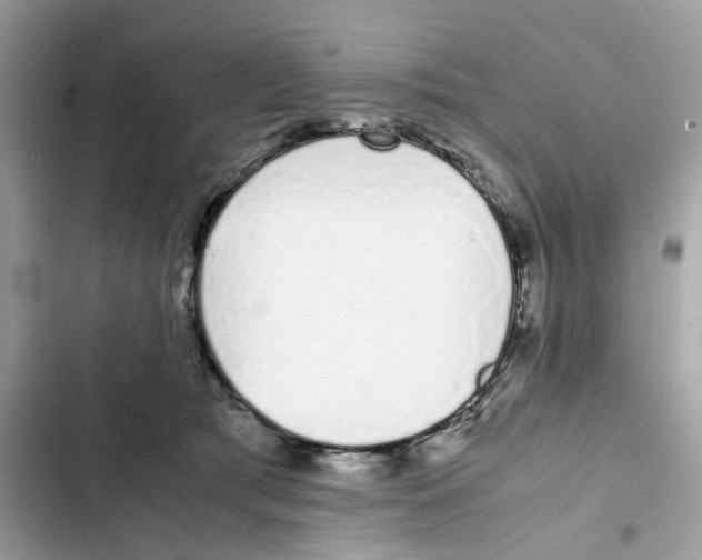 X0000101990417200808151428
