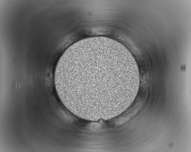 X0000101990418200808151428
